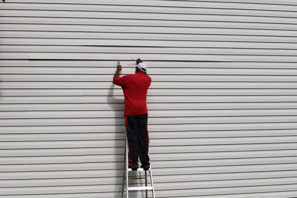 Professional Siding in Lake City, FL