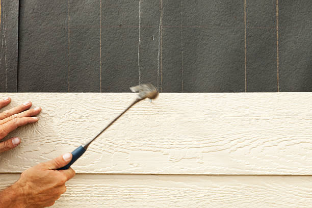 Best Vinyl Siding Installation  in Lake City, FL